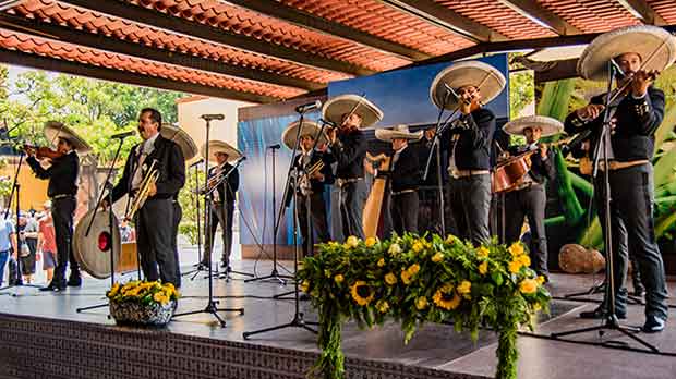 mariachi en vivo hacienda san jose en tour tren de tequila herradura express
